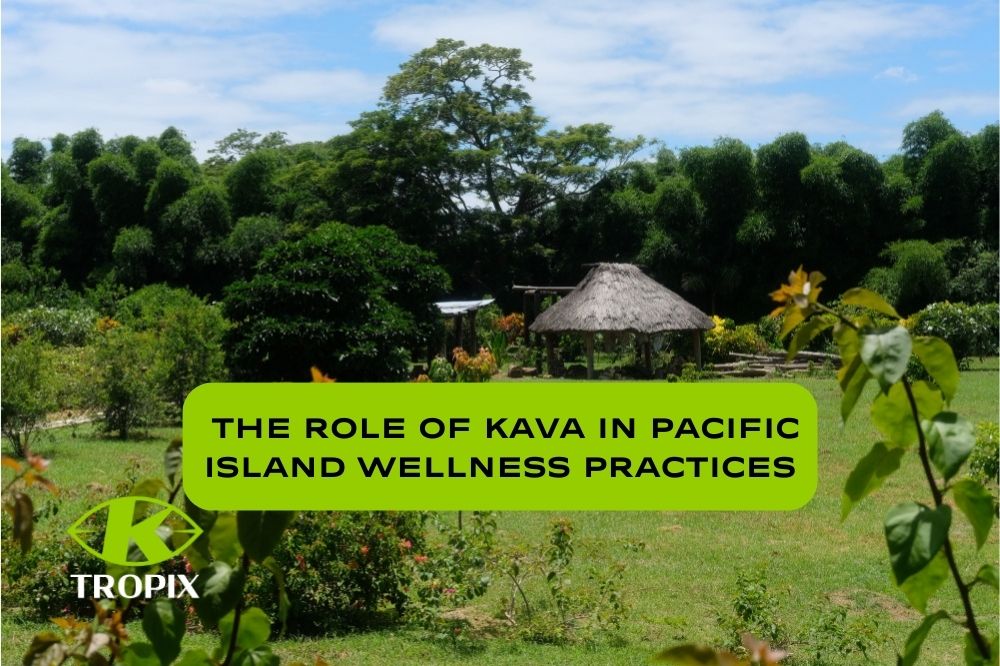 Role of Kava in Pacific Island Wellness Practices