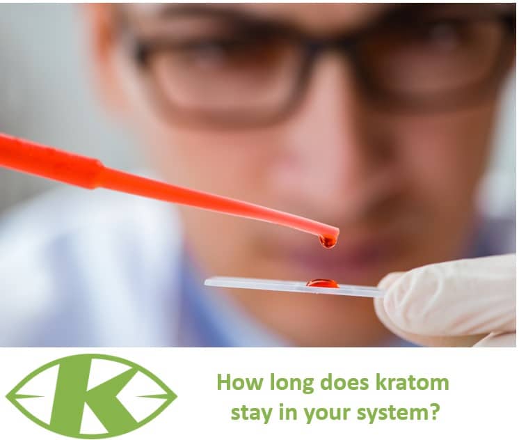 How long does kratom stay in your system - K-Tropix