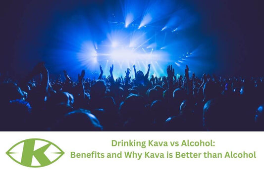 Drinking Kava vs Alcohol: Benefits and Why Kava is Better than Alcohol