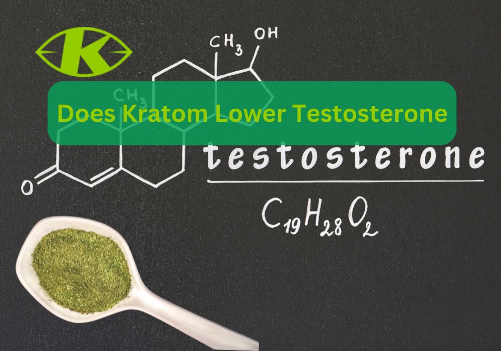 Does Kratom Lower Testosterone?
