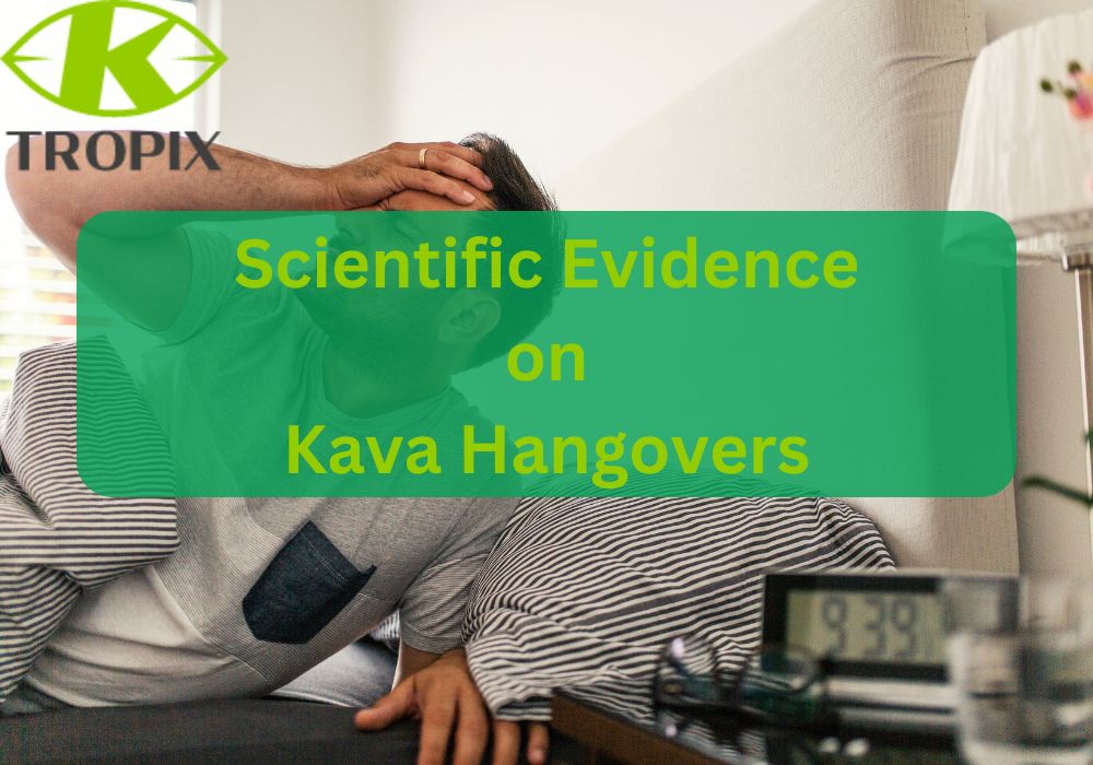 Scientific Evidence on Kava Hangovers: Reviewing Studies That Confirm or Deny Their Existence